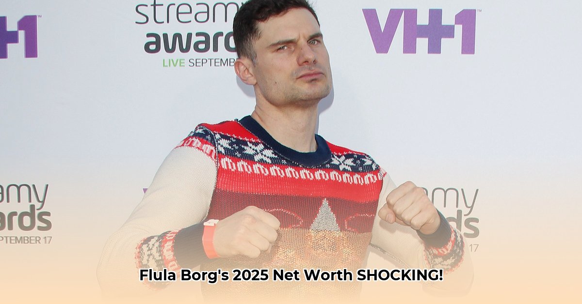 flula-borg-net-worth